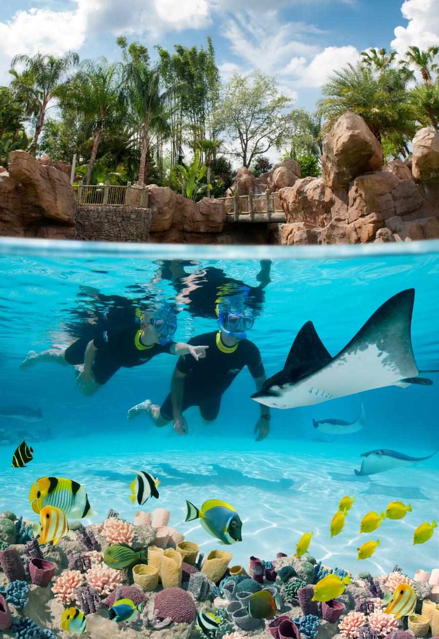 Discovery cove orlando discount tickets